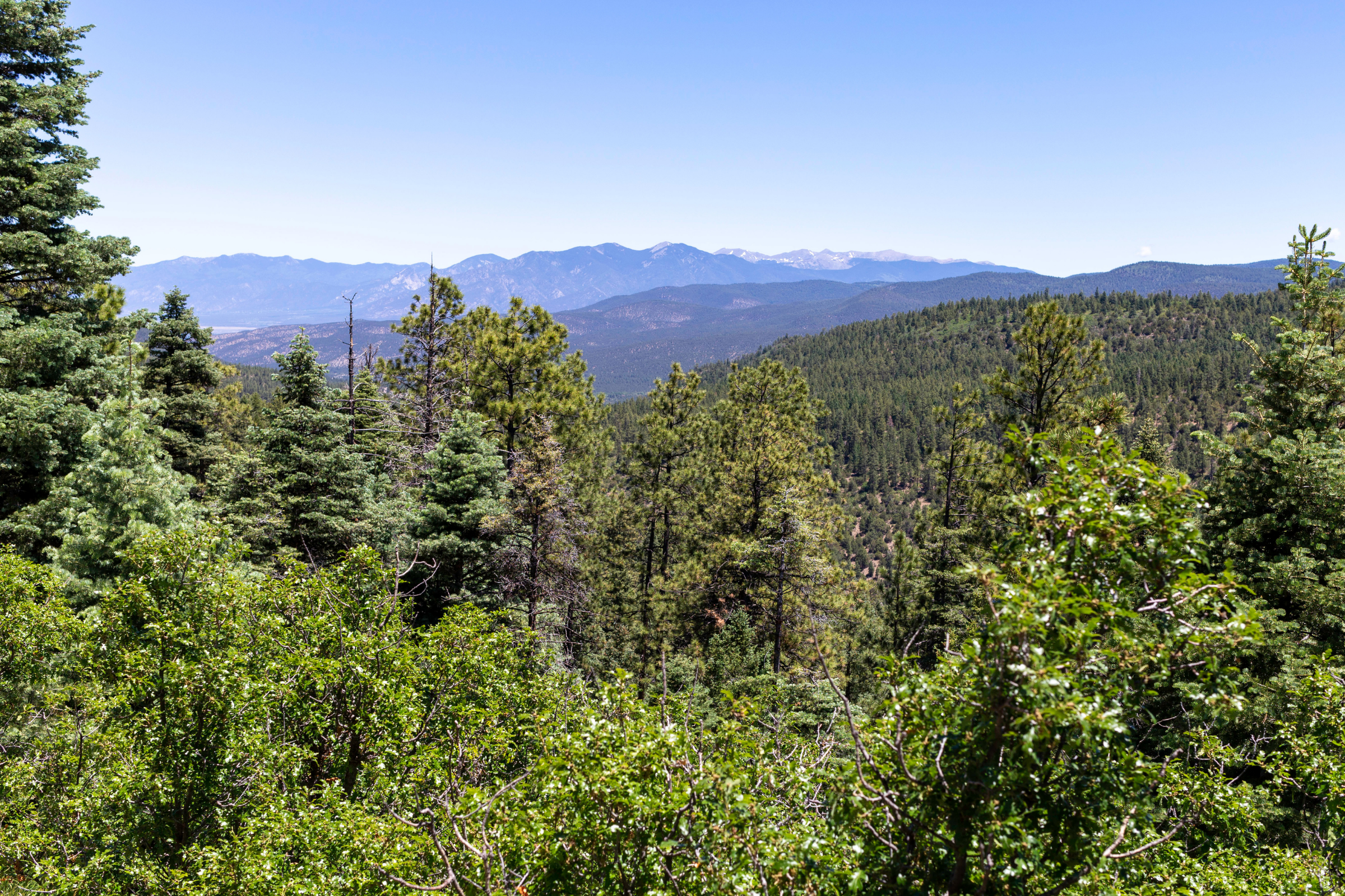 taos, new mexico (3).webp